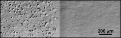 Confocal laser scanning microscope image of a tungsten surface after deuterium implantation. The right-hand side of the sample was covered with a 100 nm thick WNx layer prior to D implantation. The pure tungsten surface (left) shows strong blistering (formation of gas-filled cavities underneath the surface), while no blisters occur on the WNx-covered half (right).