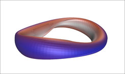 Example of a optimized stellarator